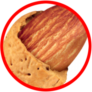 ALMOND