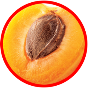 APRICOT