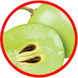 GRAPE