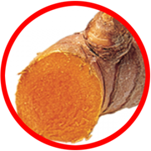 TURMERIC